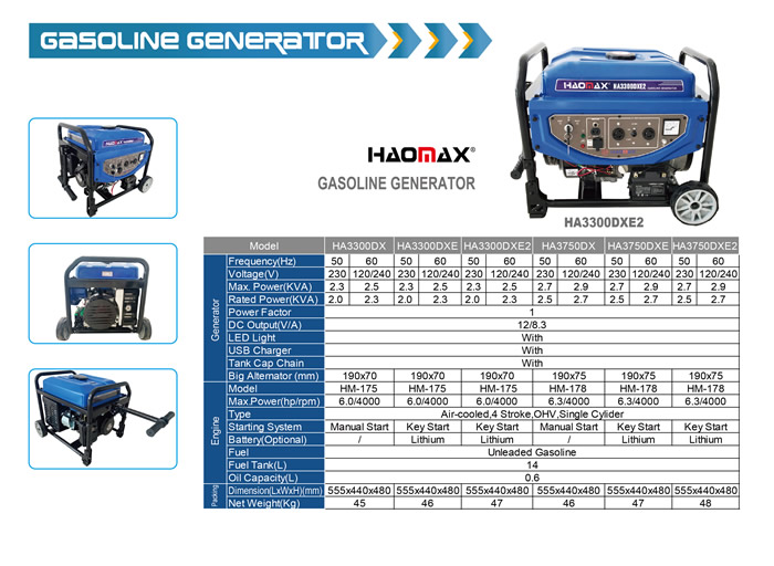 Gasoline Genertor-1